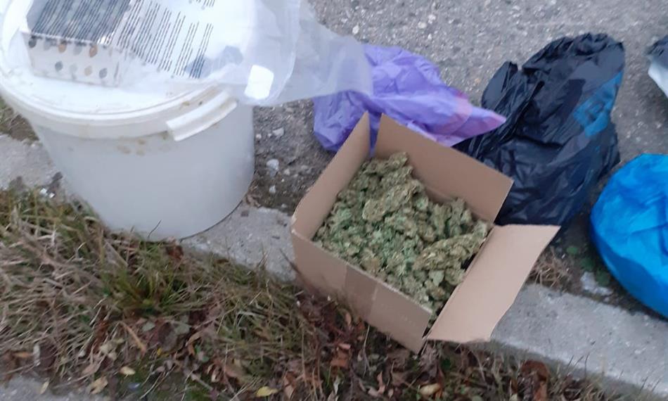 Záchyt konopí a kokainu